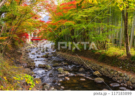【静岡県】秋の修善寺温泉 桂川の紅葉 【静岡県】秋の修善寺温泉 桂川の紅葉 117183899