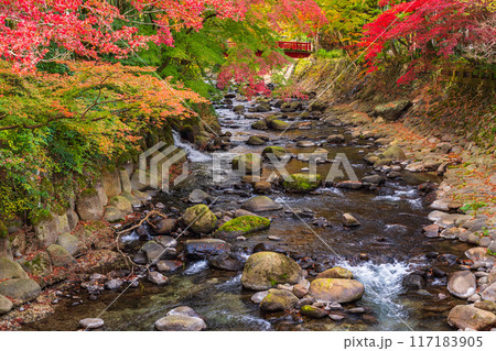 【静岡県】秋の修善寺温泉 桂川の紅葉 【静岡県】秋の修善寺温泉 桂川の紅葉 117183905