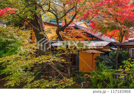 【静岡県】秋の修善寺温泉 桂川の紅葉 【静岡県】秋の修善寺温泉 桂川の紅葉 117183908