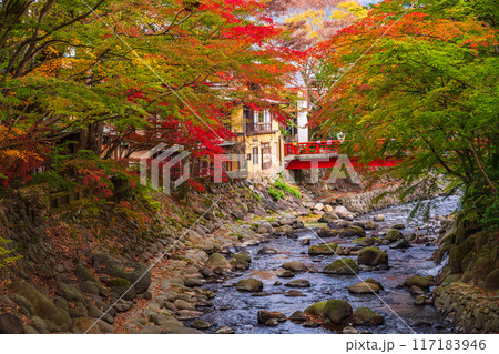 【静岡県】秋の修善寺温泉　桂川の紅葉 117183946