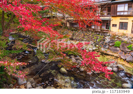 【静岡県】秋の修善寺温泉 桂川の紅葉 【静岡県】秋の修善寺温泉 桂川の紅葉 117183949