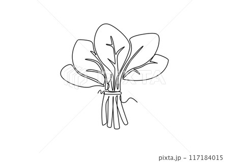 Single continuous line drawing whole healthy organic green spinach leaves for farm logo identity. Fresh leafy green flowering concept for plant icon. One line draw graphic design vector illustration 117184015