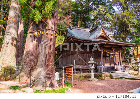 【静岡県】秋の修善寺温泉　日枝神社 117184313