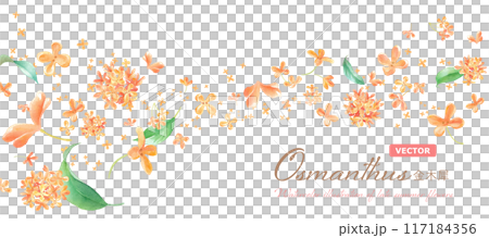 ウェーブ状に流れるキンモクセイの花の水彩イラスト。バナー背景。香りのイメージ。(ベクター) ウェーブ状に流れるキンモクセイの花の水彩イラスト。バナー背景。香りのイメージ。(ベクター) 117184356