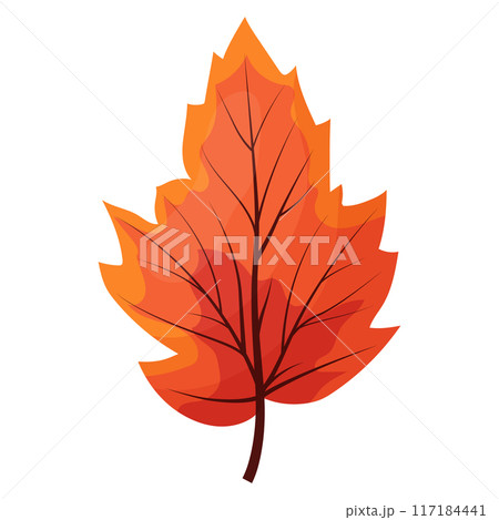 autumn colored bright leaf highlighted on a white background. 117184441