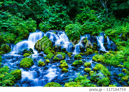 新緑の中を流れる滝 117184759