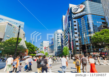 休日の銀座　数寄屋橋スクランブル交差点 117184837