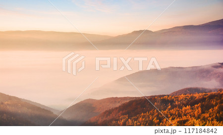 forest on mountain hillside in fog at sunrise. autumnal landscape of ukraine forest on mountain hillside in fog at sunrise. autumnal landscape of ukraine 117184842