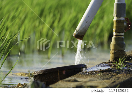田んぼや農業用水を供給するパイプ、夏の農村 117185022