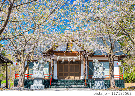 明和神社 春の風景 明和神社 春の風景 117185562