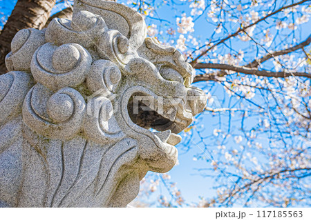明和神社　春の風景 117185563