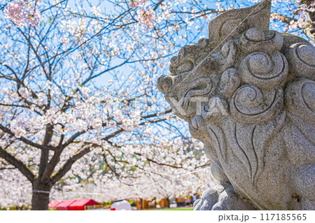 明和神社 春の風景 明和神社 春の風景 117185565