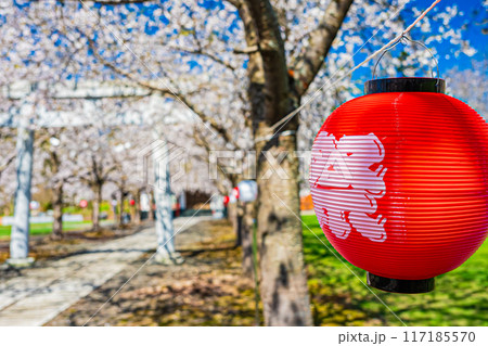 明和神社 春の風景 明和神社 春の風景 117185570