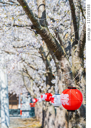 明和神社　春の風景 117185588