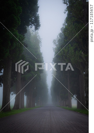 濃霧のトラピスト修道院の風景 濃霧のトラピスト修道院の風景 117185657