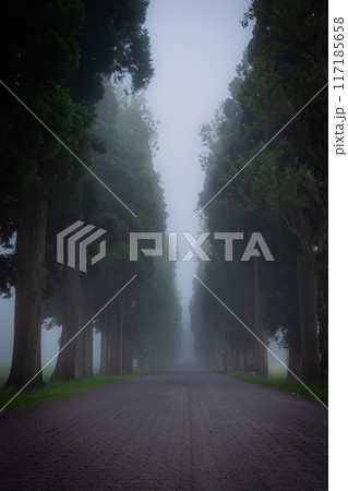 濃霧のトラピスト修道院の風景 117185658