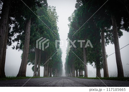 濃霧のトラピスト修道院の風景 濃霧のトラピスト修道院の風景 117185665