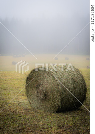 濃霧のトラピスト修道院の風景 濃霧のトラピスト修道院の風景 117185684