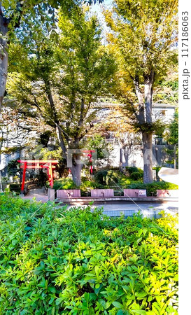 東京都港区麻布狸穴町　狸穴（まみあな）公園　狸穴稲荷神社 117186063