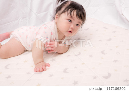 【はいはいを始める髪を結んだ赤ちゃん】 【はいはいを始める髪を結んだ赤ちゃん】 117186202