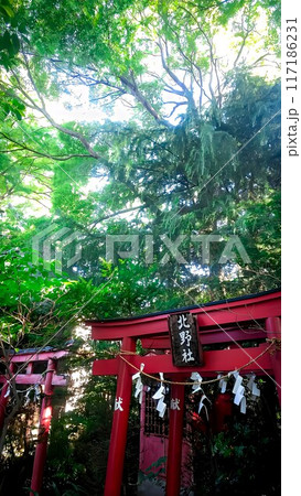 小さな祠 東京都練馬区 氷川台氷川神社の境内社 小さな祠 東京都練馬区 氷川台氷川神社の境内社 117186231