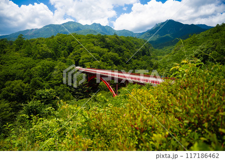 八ヶ岳高原ライン/東沢大橋（やつがたけこうげんらいん/ ひがしざわおおはし） 117186462