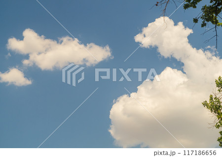 Fluffy white clouds with a yellowish sunny tint against the background of a blue clear sky. Blank for decoration. Environment and natural phenomena, weather changes, seasonal manifestations Fluffy white clouds with a yellowish sunny tint against the background of a blue clear sky. Blank for decoration. Environment and natural phenomena, weather changes, seasonal manifestations 117186656