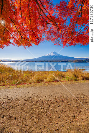 【富士山素材】秋の河口湖から見る冠雪した富士山と紅葉【山梨県】 117186736