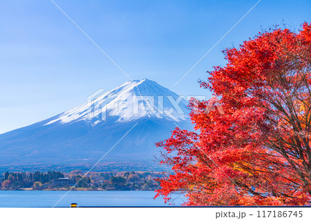 【富士山素材】秋の河口湖から見る冠雪した富士山と紅葉【山梨県】 117186745