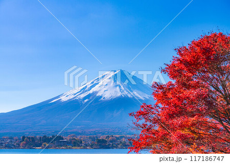 【富士山素材】秋の河口湖から見る冠雪した富士山と紅葉【山梨県】 117186747