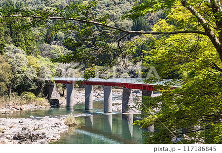 新緑と山国川第二橋梁 117186845