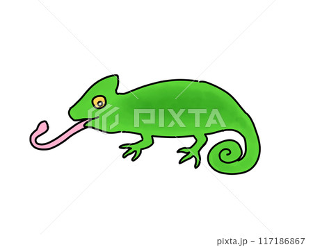 グリーンカメレオン 117186867