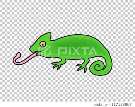 グリーンカメレオン 117186867