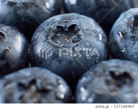 Close-up of Fresh Juicy Blueberries 117186967