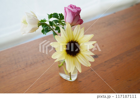 小さなひまわりの花とピンクの花 小さなひまわりの花とピンクの花 117187111