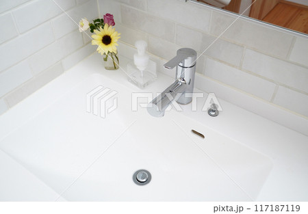 花と液体石鹸がある洗面台 117187119