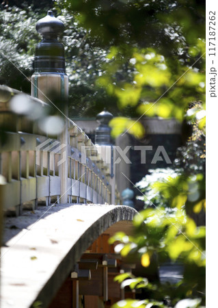 新緑と橋の欄干と擬宝珠 117187262