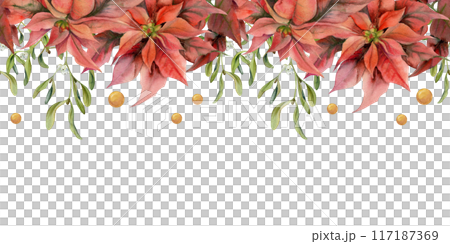 Poinsettia flowers, gold star baubles, mistletoe leaves. Watercolor hand drawn illustration, seamless banner isolated on white. Xmas, happy new year festive noel navidad holiday. Florist, wedding. Poinsettia flowers, gold star baubles, mistletoe leaves. Watercolor hand drawn illustration, seamless banner isolated on white. Xmas, happy new year festive noel navidad holiday. Florist, wedding. 117187369