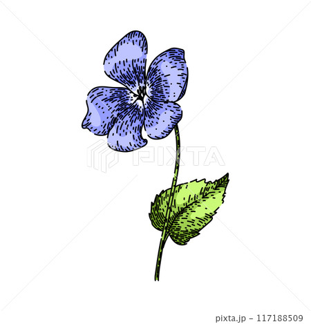 abstract violet sketch hand drawn vector abstract violet sketch hand drawn vector 117188509