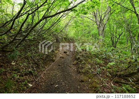 磐梯山登山、会津、福島県 117188652