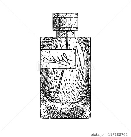 spray perfum bottle male sketch hand drawn vector spray perfum bottle male sketch hand drawn vector 117188762