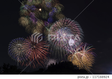 戸田橋花火大会 戸田橋花火大会 117188924
