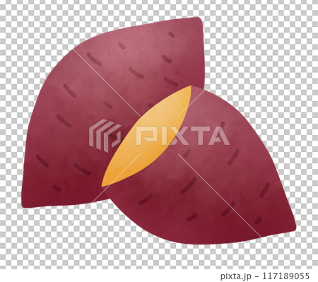 Illustration of two sets of sweet potatoes 117189055