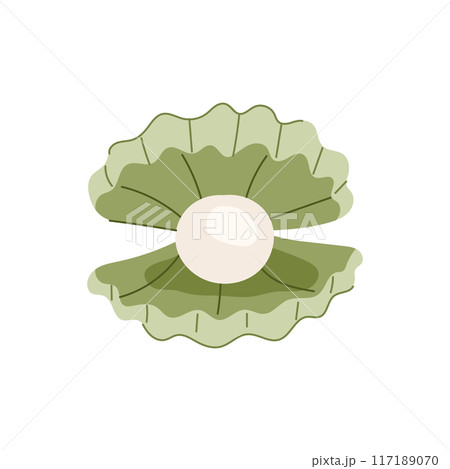 sea shell pearl cartoon vector illustration sea shell pearl cartoon vector illustration 117189070