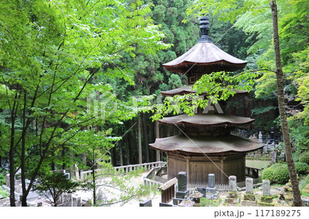 信州別所温泉安楽寺に建つ現存唯一の八角三重塔 信州別所温泉安楽寺に建つ現存唯一の八角三重塔 117189275