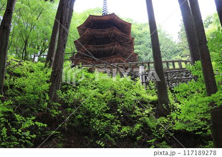信州別所温泉安楽寺に建つ現存唯一の八角三重塔 信州別所温泉安楽寺に建つ現存唯一の八角三重塔 117189278