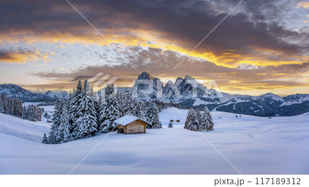 Panoramic view on Alpe di Siusi meadow with small wooden log cabin 117189312