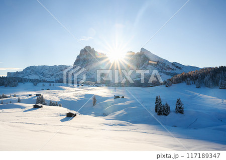 Sunny day at Alpe di Siusi meadow on winter time Sunny day at Alpe di Siusi meadow on winter time 117189347