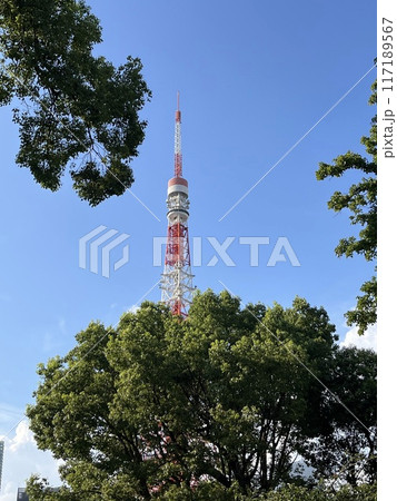 芝公園から見える風景 117189567