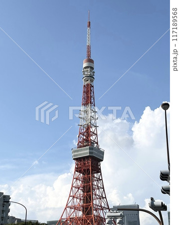 晴れた日の空と芝公園から見えるタワー 117189568